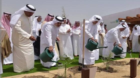 استصلاح الصحراء بالمملكة العربية السعودية بالعمل علي زرع ٦٠٠ مليون شجرة مثمرة حتى عام ٢٠٣٠