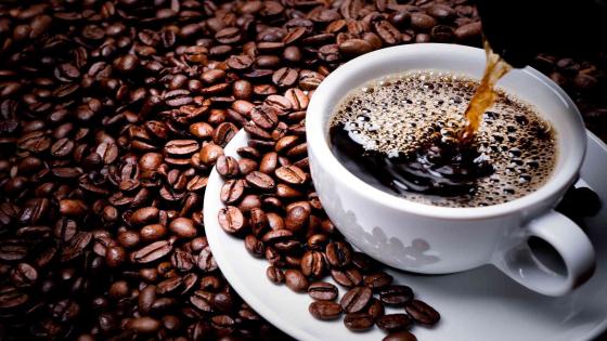 دراسة أسترالية: شرب القهوة فعال في الوقاية من ألزهامير